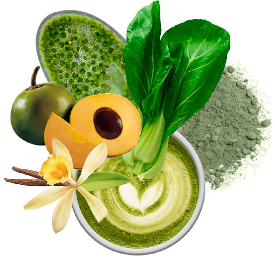 Green Matcha Blend