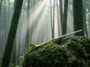 Cuchara chashaku de bambu de Matcha Colors sobre una piedra con musgo en un bosque de bambu entre niebla - campaña IA