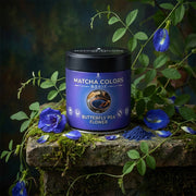 Bodegón botánico de la lata Butterfly Pea Flower rodeada de flores frescas de clitoria y enredaderas sobre piedra con musgo - campaña IA